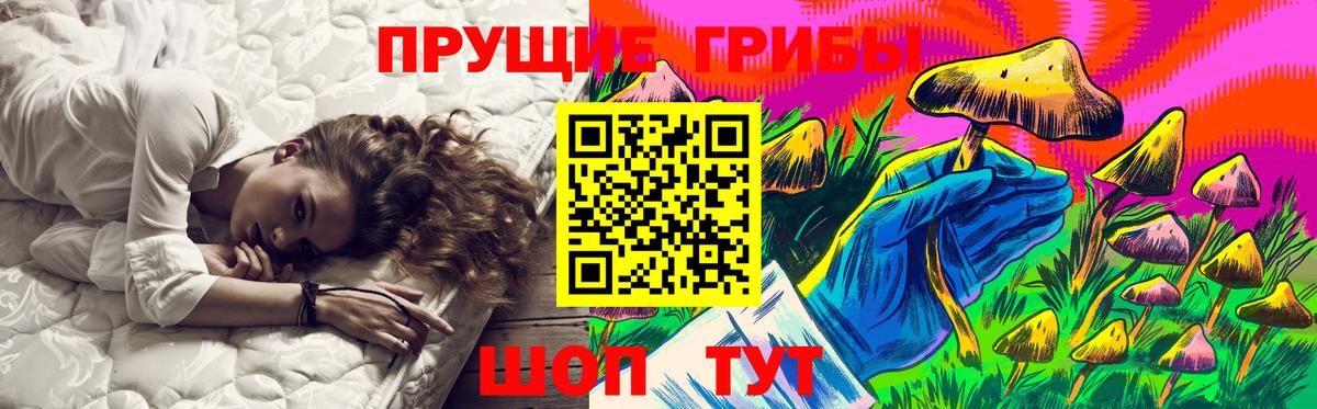Галлюциногенные грибы Cubensis  Вход с VPN  Феодосия 